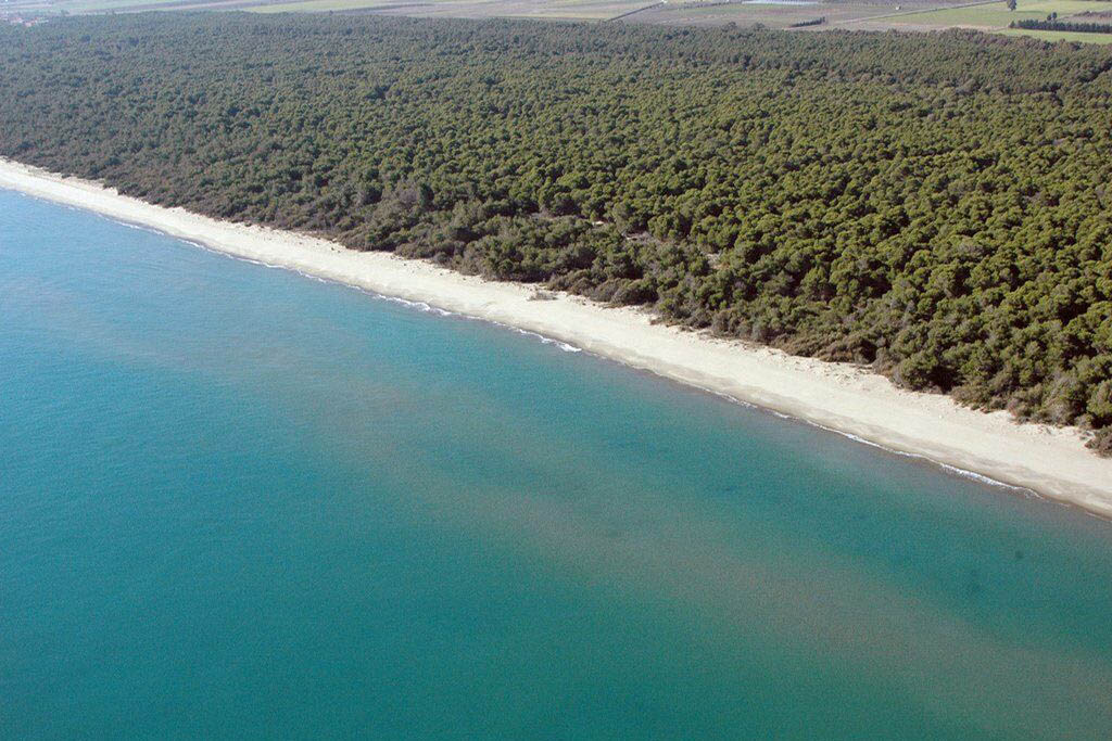 Basilicata Mare La Costa Jonica Mitica Per I Bambini Familygo