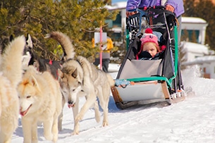 Sleddog in Piemonte, a Sestriere 