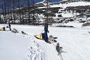 Sleddog in Piemonte, a Sestriere 