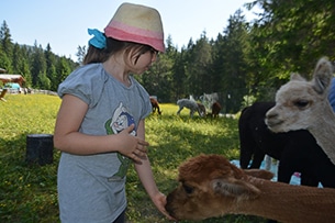 Seefeld con bambini d'estate, alpaca