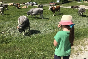 Seefeld con bambini d'estate, Malga Wildmoos