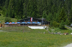 Seefeld con bambini d'estate, Malga Wildmoos