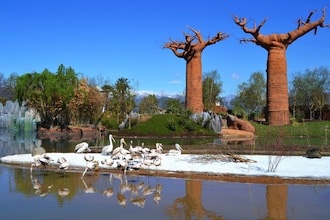 Bioparco Zoom Torino