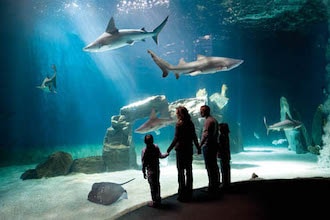 Acquario di Genova