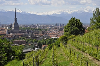 Torino con bambini, panoramica della città