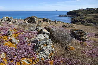 Cammino di Santa Barbara con bambini, Sant'Antioco