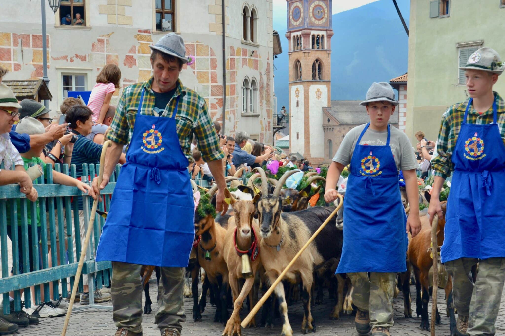 Transumanze: Desmontegada di Cavalese