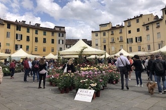 Lucca_anfiteatro_phGrottoM