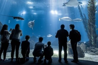 Lisbona con i bambini: Aquario Vasco Da Gama