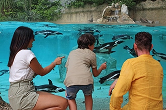 Giardino zoologico di Pistoia, oasi pinguini