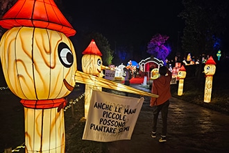 This is Wonderland 2024, Pinocchio back to wood, pensieri