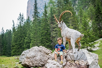 Sentiero Troi de Tieres animali del bosco A Selva di Val Gardena