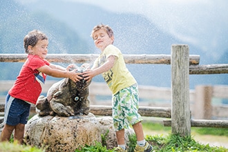 Sentiero Troi de Tieres animali del bosco A Selva di Val Gardena