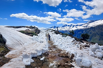 Aletsch