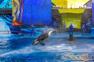 Florida_Orlando_parchiatema_SeaWorld_Depositphotos_bennymarty