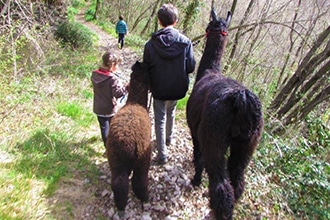 Zalpa Trekking.