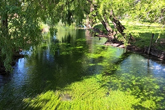 Fonti del Clitunno