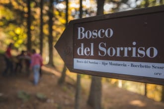 Bosco del sorriso eventi Oasi Zegna