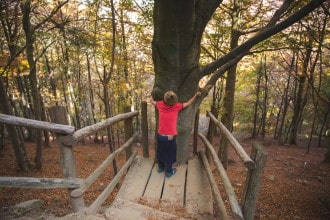 Foliage Oasi Zegna abbracciare gli alberi