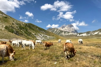 Trekking con bambini in Abruzzo