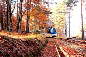 Treno del Foliage