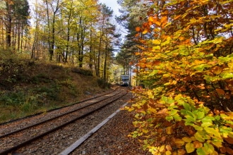 Treno del foliage con bambini