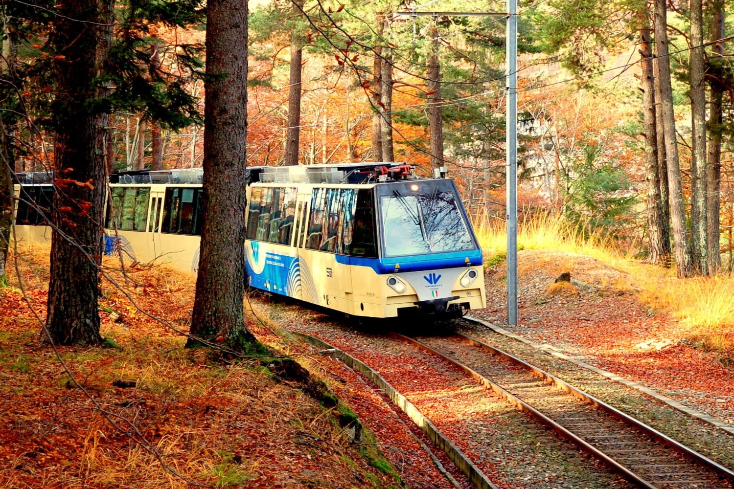 Treno del Foliage