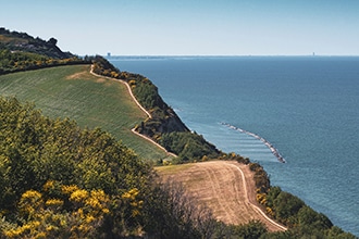 Monte San Bartolo