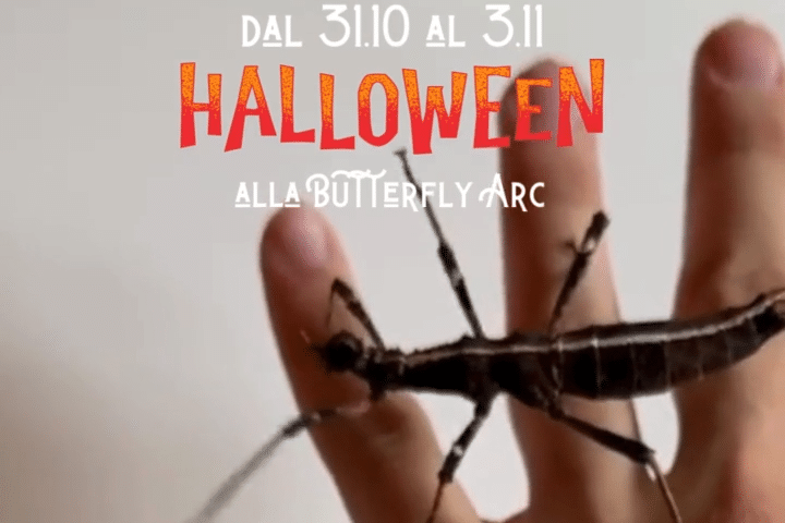 Halloween alla Butterfly Arc di Montegrotto Terme (PD)