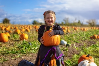 Pumpkin patches nel Regno Unito