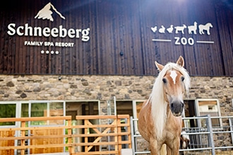 Schneeberg zoo fattoria