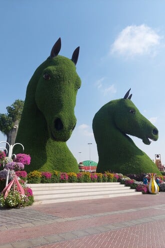 Dubai con i bambini: the Miracle Garden