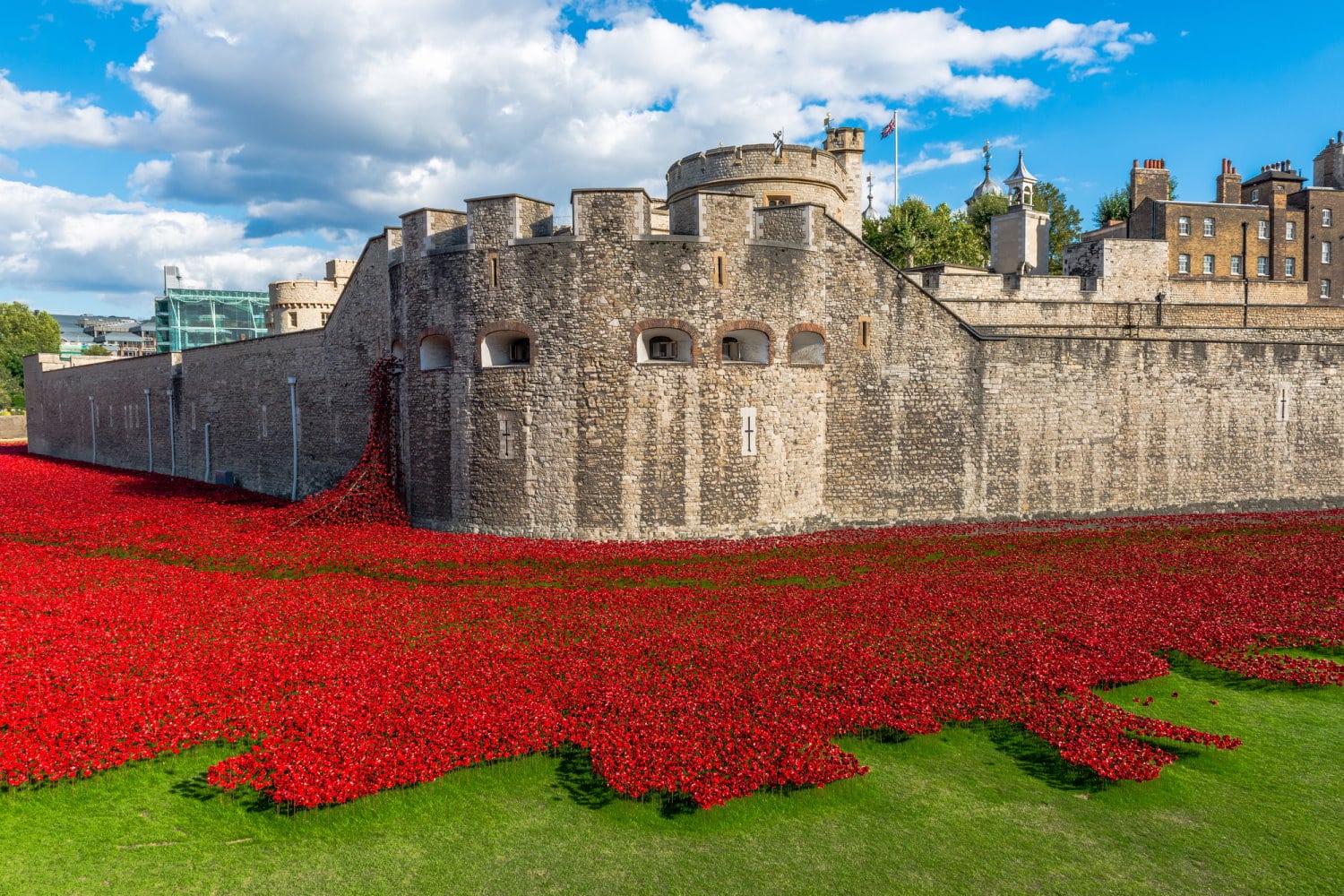 Remembrance Day Regno Unito