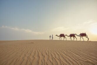 Le escursioni nel deserto di Dubai con i bambini: passeggiate a cammello