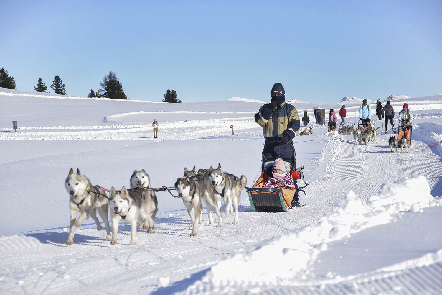 Esperienze d'inverno a San Vigilio di Marebbe, Huskysleddog