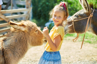 asinelli bambina