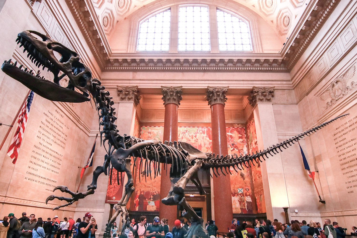 Museo di storia Naturale di New York