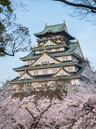 Castello di Osaka circondato da alberi di ciliegio in fiore