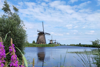 Kinderdijk, vista sui mulini