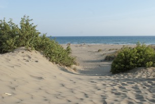 Toscana Il Mare Della Maremma Le Spiagge Per I Bambini